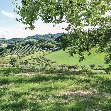 Ca' Di Leo Castello Ripalta